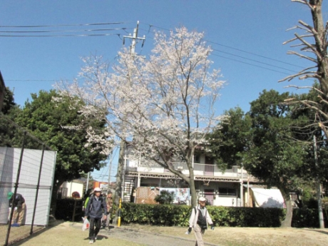 画像7